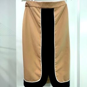 Beautiful pencil skirt that will go with everything.